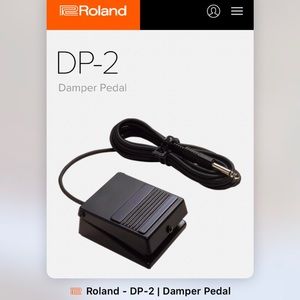 Roland DP-2 pedal
